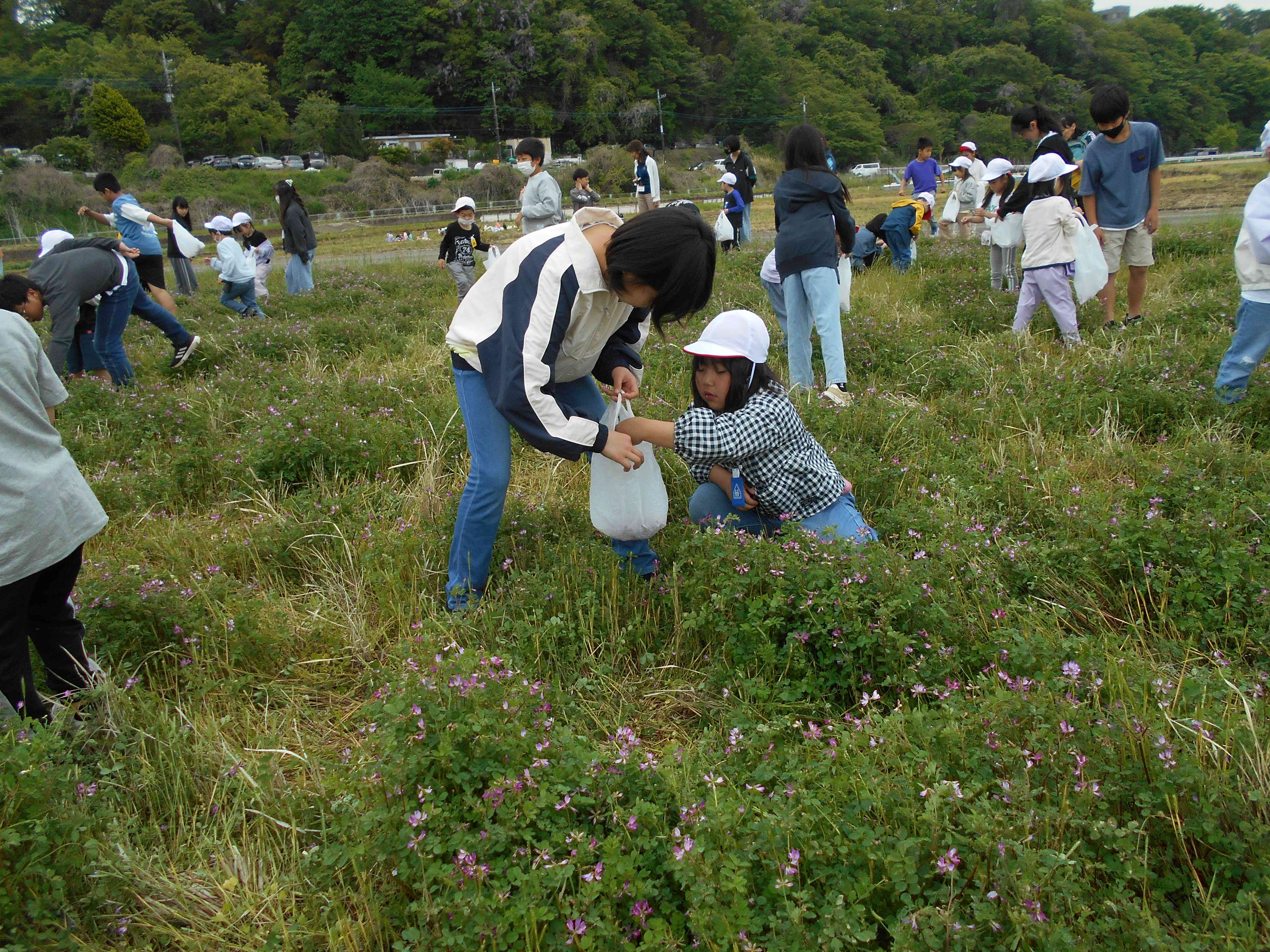 DSCN0202