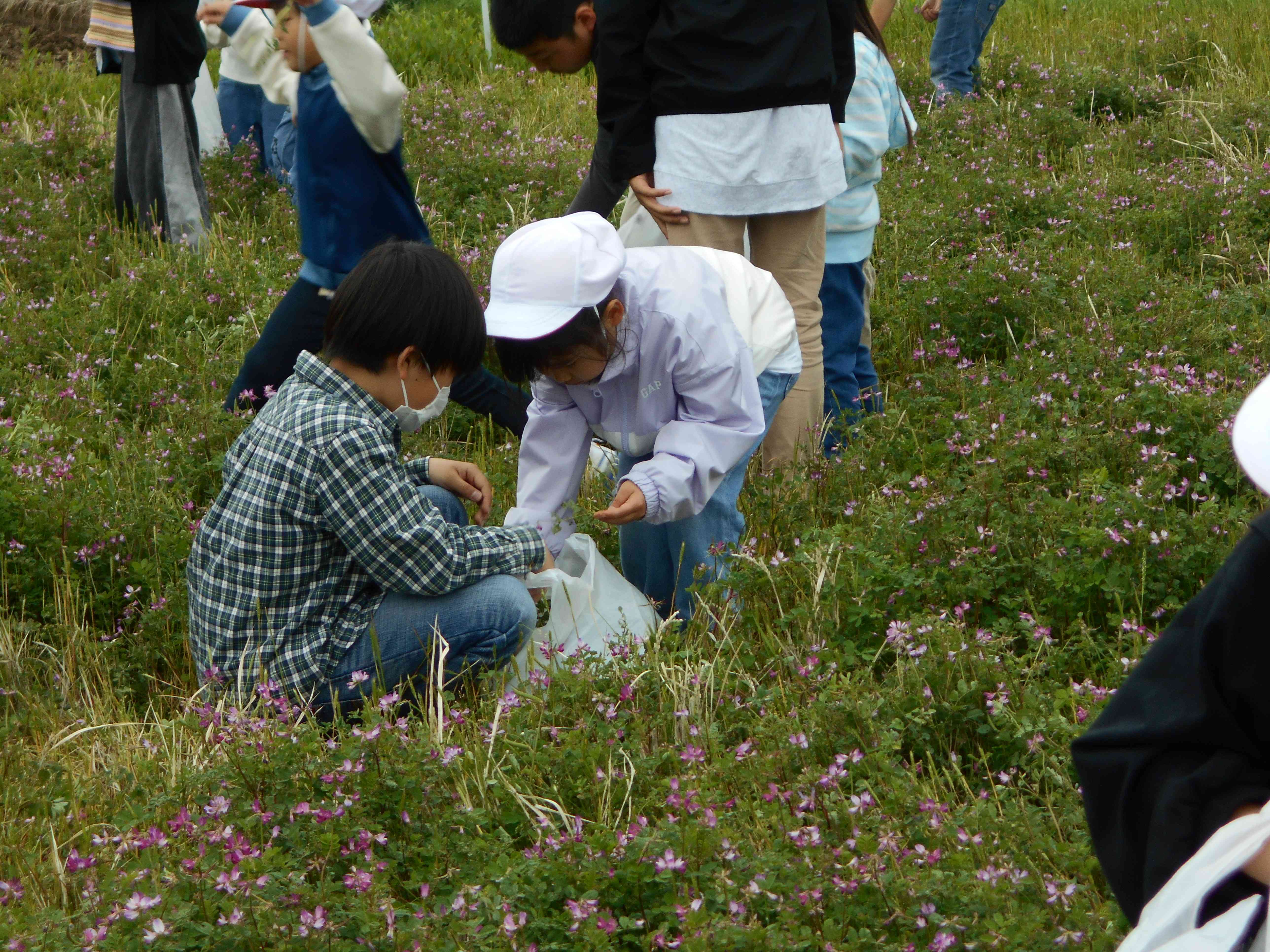 DSCN0200 (1)