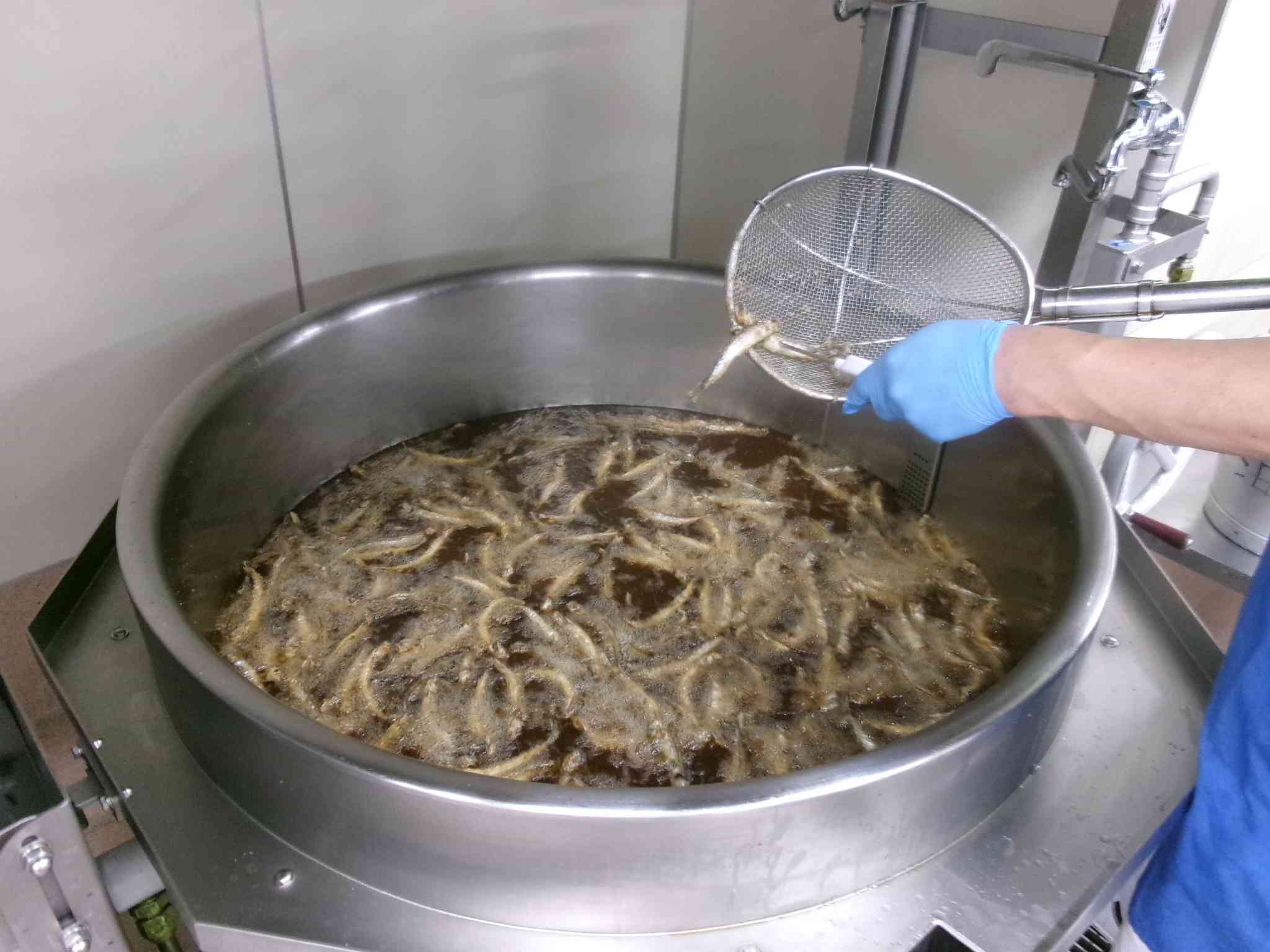 ししゃも温度確認